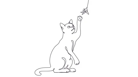 Cat playing with a toy. Stock Footage 134401564