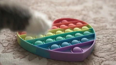 Cat plays with a silicone POP IT toy. New trendy silicone toy. Stock Footage