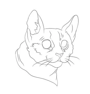 Cat portrait, lines, vector, Illustrazione stock