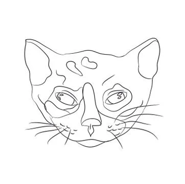 Cat portrait, lines, vector, Stock Illustration