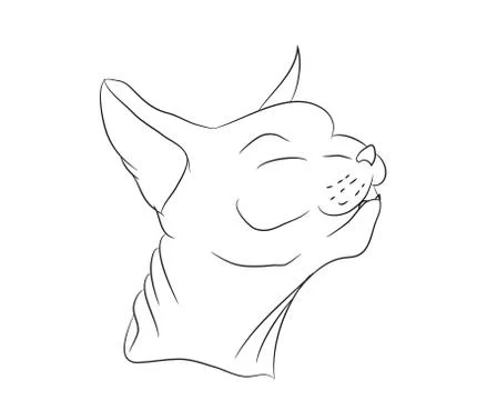 Cat portrait, lines, vector, Illustrazione stock
