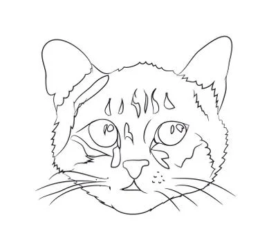 Cat portrait, lines, vector, Stock Illustration