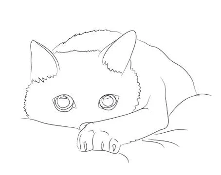 Cat portrait, lines, vector, Stock Illustration