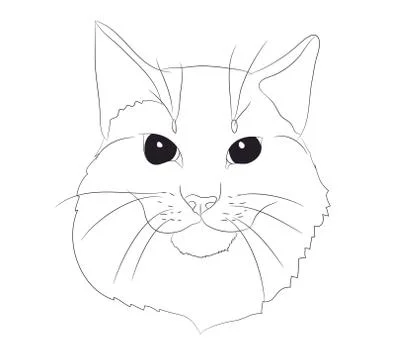 Cat portrait, lines, vector, Stock Illustration