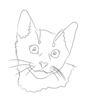 Cat portrait, lines, vector, Stock Illustration