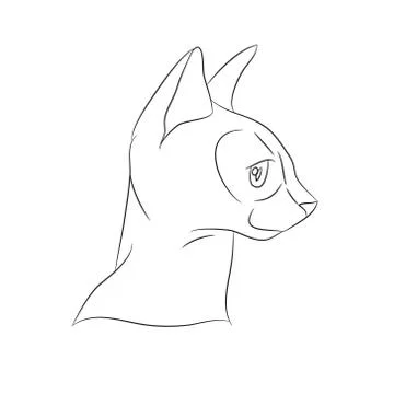 Cat portrait, lines, vector, Stock Illustration