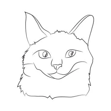 Cat portrait, lines, vector, Illustrazione stock