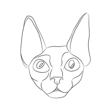 Cat portrait, lines, vector, Stock Illustration