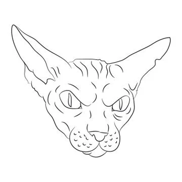 Cat portrait, lines, vector, Stock Illustration