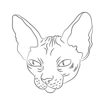 Cat portrait, lines, vector, Illustrazione stock