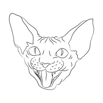 Cat portrait, lines, vector, Illustrazione stock