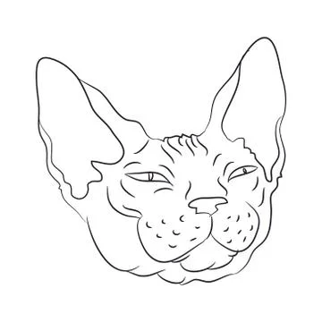 Cat portrait, lines, vector, Illustrazione stock