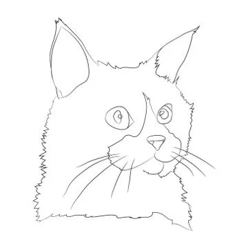 Cat portrait, lines, vector, Stock Illustration