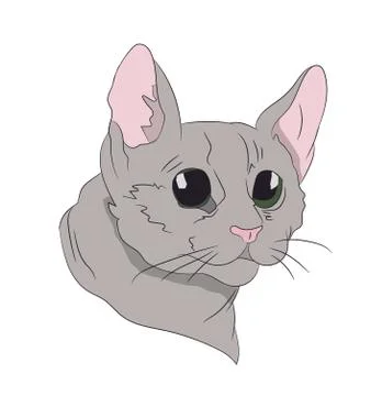 Cat portrait, vector Illustrazione stock