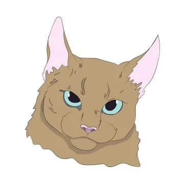 Cat portrait, vector Stock Illustration