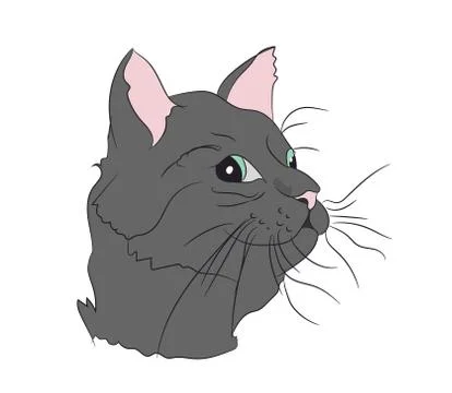 Cat portrait, vector Stock Illustration