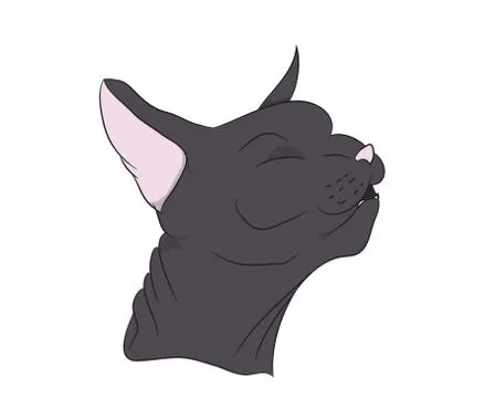 Cat portrait, vector Stock Illustration