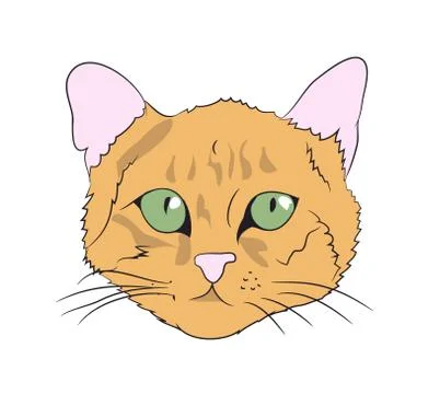 Cat portrait, vector Stock-Illustration