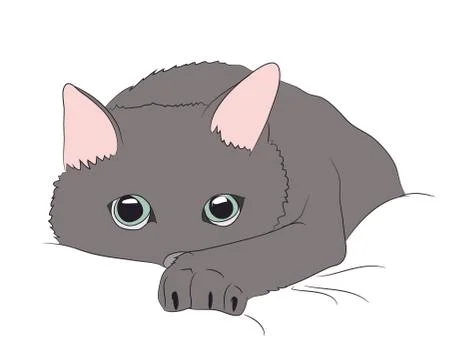 Cat portrait, vector Illustrazione stock