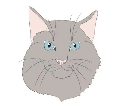 Cat portrait, vector Illustrazione stock