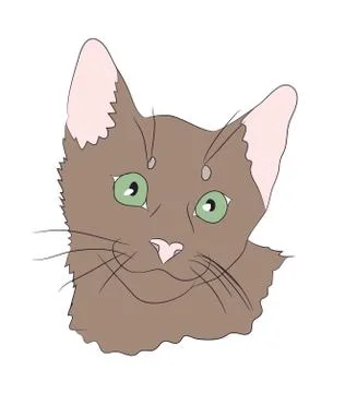 Cat portrait, vector Stock Illustration