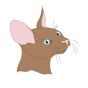 Cat portrait, vector Stock Illustration