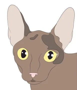 Cat portrait, vector Stock-Illustration