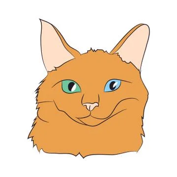 Cat portrait, vector, white background Illustrazione stock