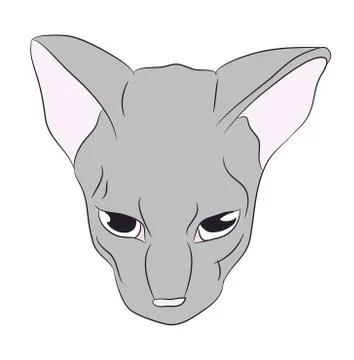 Cat portrait, vector, white background Stock Illustration