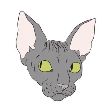Cat portrait, vector, white background Illustrazione stock