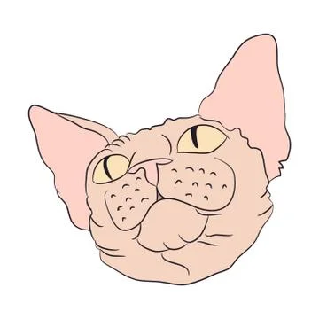 Cat portrait, vector, white background Stock Illustration