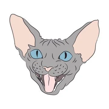 Cat portrait, vector, white background Stock-Illustration
