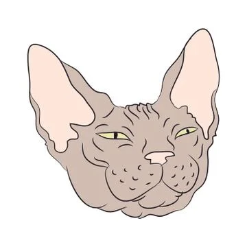 Cat portrait, vector, white background Stock Illustration