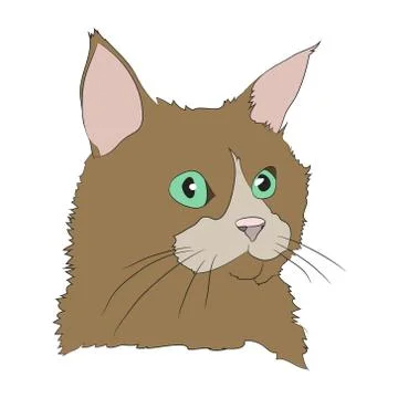 Cat portrait, vector, white background Illustrazione stock