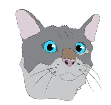 Cat portrait, vector, white background Illustrazione stock