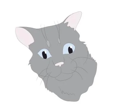 Cat portrait, vector, white background Stock Illustration