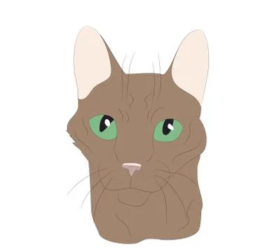 Cat portrait, vector, white background Stock Illustration