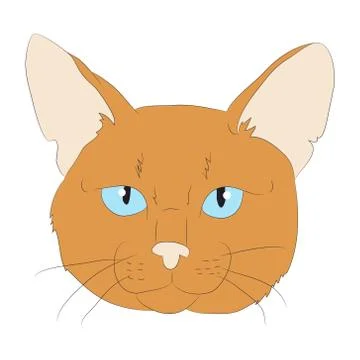 Cat portrait, vector, white background Stock Illustration
