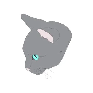 Cat portrait, vector, white background Stock Illustration
