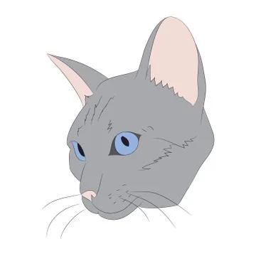 Cat portrait, vector, white background Stock Illustration