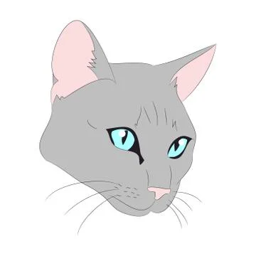 Cat portrait, vector, white background Illustrazione stock