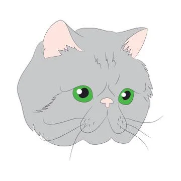 Cat portrait, vector, white background Illustrazione stock