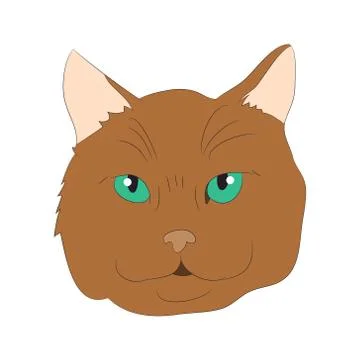 Cat portrait, vector, white background Stock Illustration
