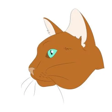 Cat portrait, vector, white background Stock Illustration