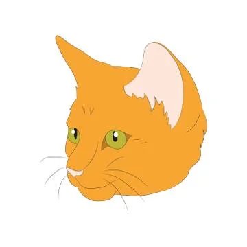 Cat portrait, vector, white background Illustrazione stock