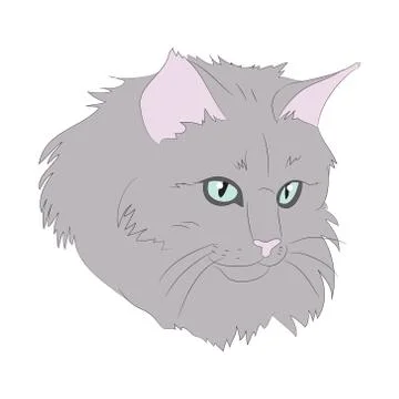 Cat portrait, vector, white background Illustrazione stock