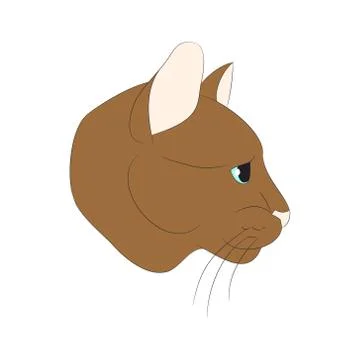 Cat portrait, vector, white background Stock Illustration