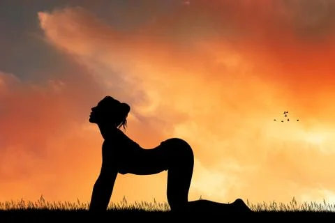 Cat pose yoga at sunset Stock Illustration