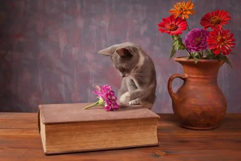Cat posing next to flowers in a vase on the table Foto stock