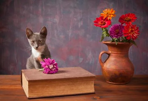 Cat posing next to flowers in a vase Foto stock